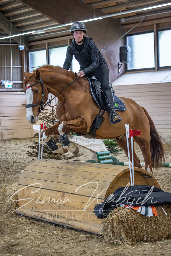 20260222-_3LI1597 | Tierfotografie Pferde, Hunde, Katzen, Haustiere.
Turnierfotografie Reitturniere, Reiten, Springreiten, Dressur in Hanau, dem Main-Kinzig-Kreis und dem Rhein-Main- Gebiet um Frankfurt