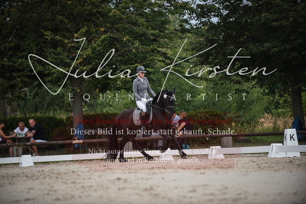 DSC_8312 | Pferde- und Turnierfotografie in Westsachsen. Pferdeportraits, Auftragszeichnungen und intuitive Kunst.