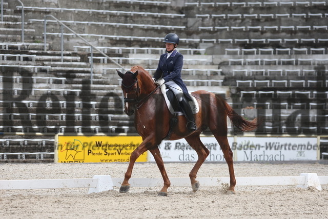 Marbach_2023_Prfg.Nr.08_Dressur_Kl.S_7-10jähr.Pferde_Renate Gohr-Bimmel_Dance with the devil (3) | Alle Fotos der Reiterjournal Fotografin Doris Matthaes im Reiterjournal Online-Fotoshop. - Realizado com Pictrs.com