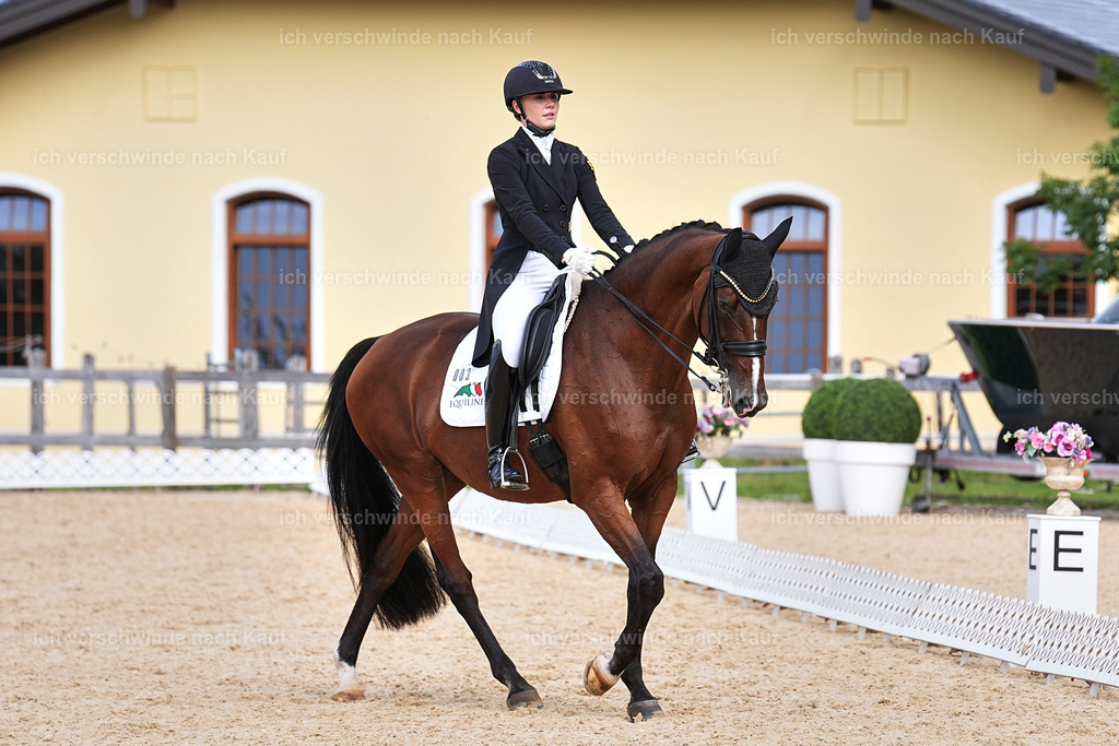 11-003-Dressur S___-Marixx-1725 | working equitationturnier fotograf videograf stoibphotography marixx film working equitation deutschland reitsport turnierfotografie eventfotografie equestrian events