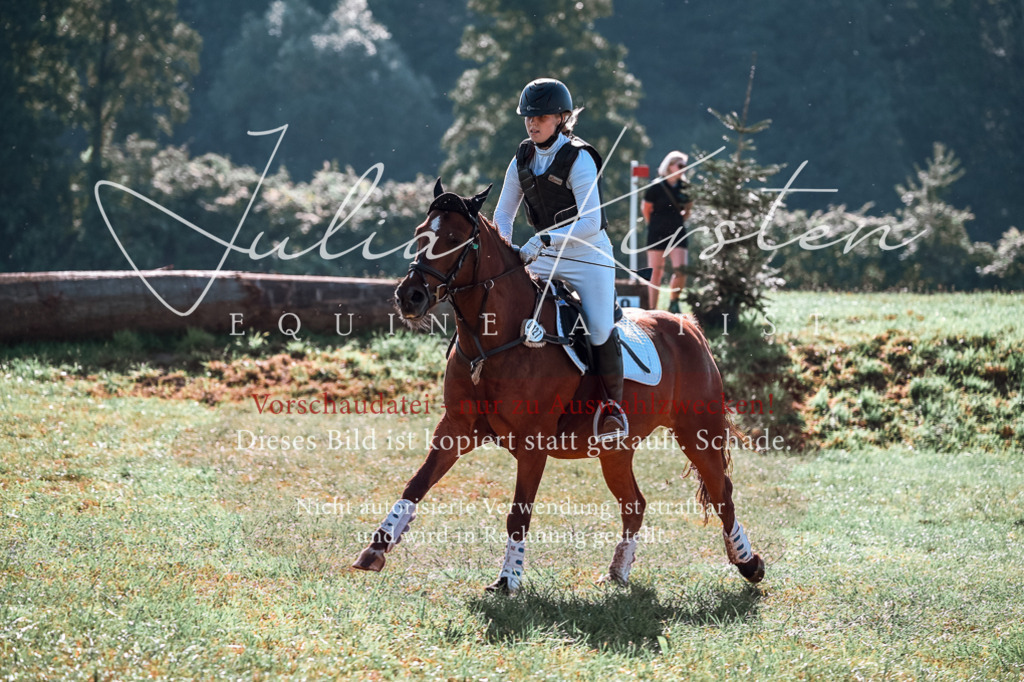 DSC_0619 | Pferde- und Turnierfotografie in Westsachsen. Pferdeportraits, Auftragszeichnungen und intuitive Kunst.