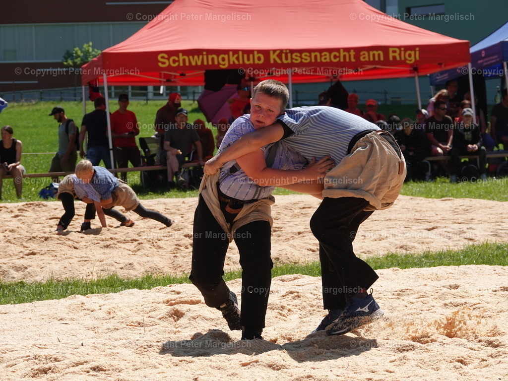 DSC04728 | Schwingen - Realisiert mit Pictrs.com