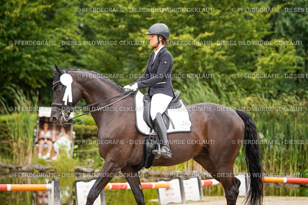 DSC04853 | Pferdegrafie