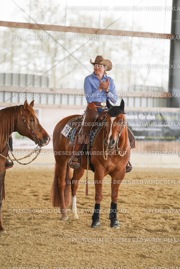 DSC03283 | Pferdegrafie