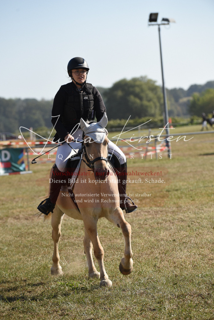 DSC_5839 | Pferde- und Turnierfotografie in Westsachsen. Pferdeportraits, Auftragszeichnungen und intuitive Kunst.