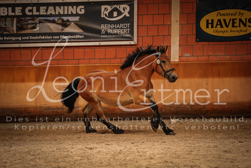 SaFL00292 | Leoni Ertmer Photography - Realisiert mit Pictrs.com