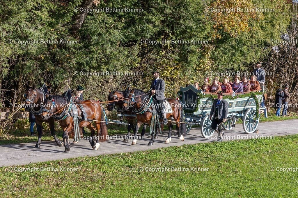 LBT24-203 | foto-bettina-krinner - Realisiert mit Pictrs.com