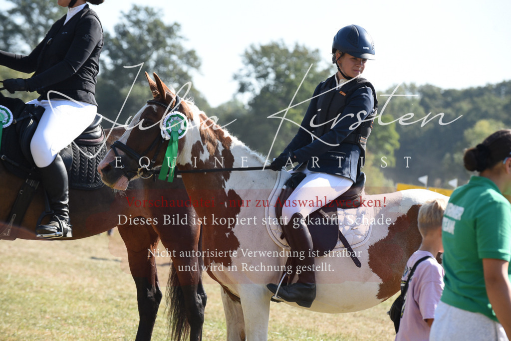 DSC_6179 | Pferde- und Turnierfotografie in Westsachsen. Pferdeportraits, Auftragszeichnungen und intuitive Kunst.