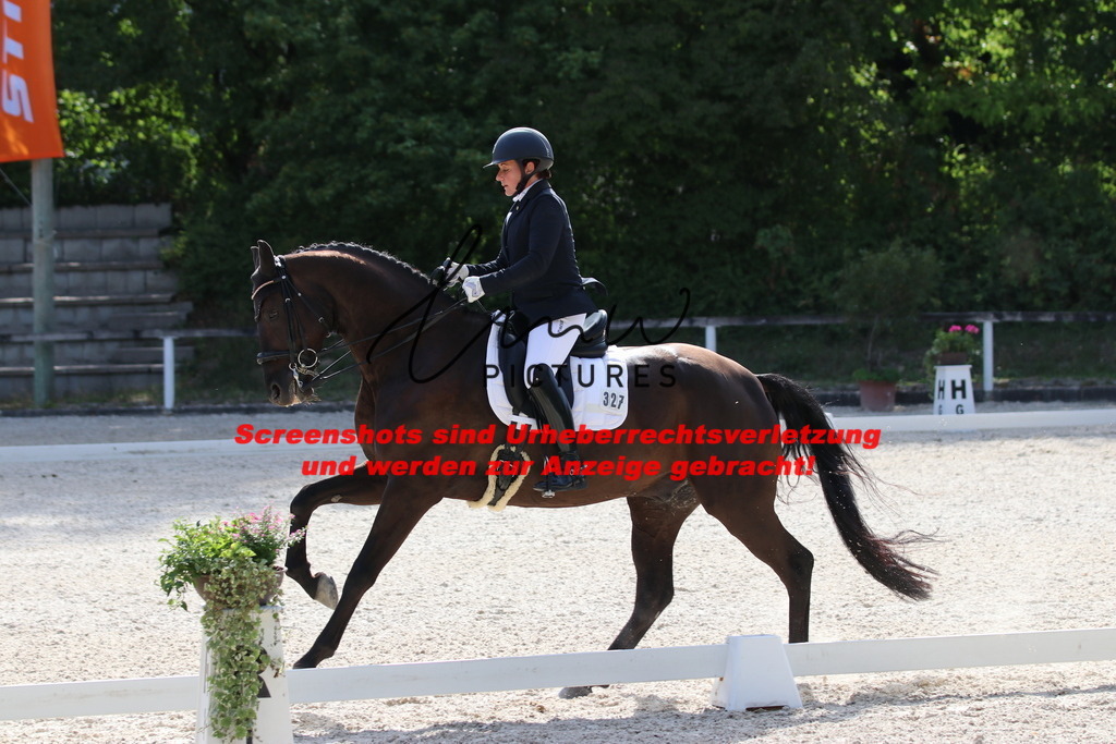 IMG_5565 | lmwpictures - Realisiert mit Pictrs.com