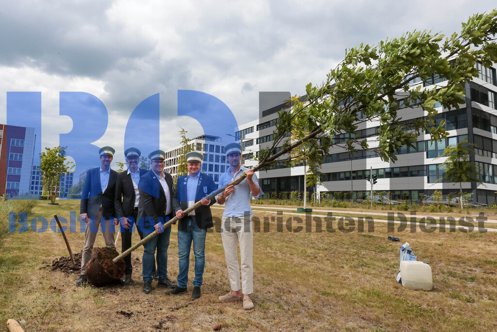 Eicheingrabung | Eicheingrabung - Realisiert mit Pictrs.com