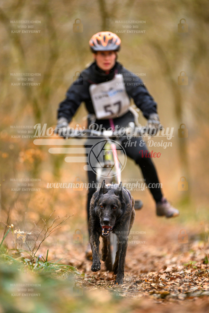 MompixPhotography_ReiatRennen2024_SO_Bike1H-78 | PayLife