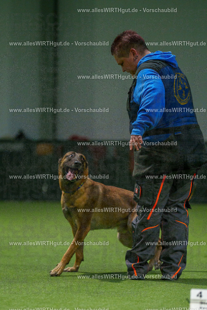 7R507458 | Professionelle Tierfotografie in Mönchengladbach von Daniel Wirth (allesWIRTHgut). Liebevolle & natürliche Bilder von Hunden & Katzen für unvergessliche Erinnerungen.