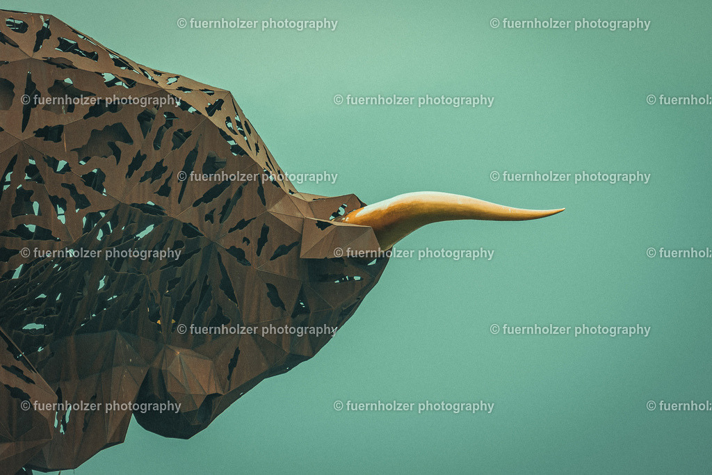 fuernholzer_Harz_230826_191_orig | 26.8.2023 Sport, Red Bull Ring, Spielberg, Racing Days - Rupert Hollaus Rennen 2023,  .

Copyright Carsten Harz