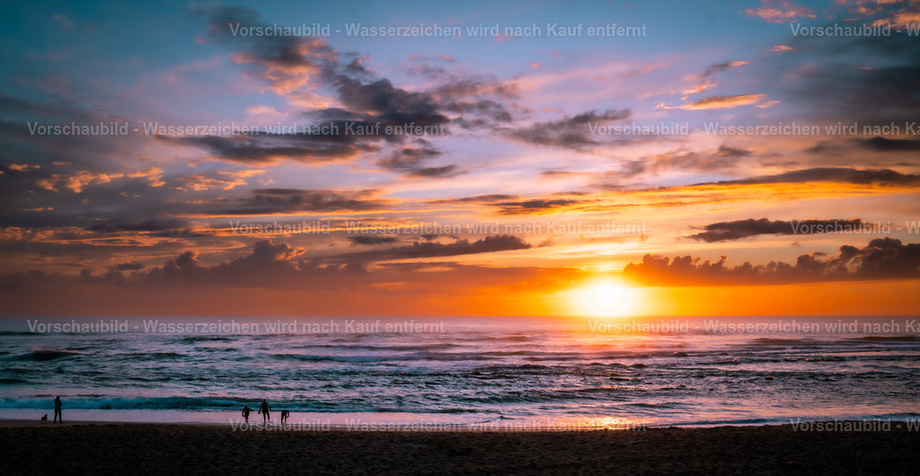 DSC01509-Enhanced-NR | marcuslinek