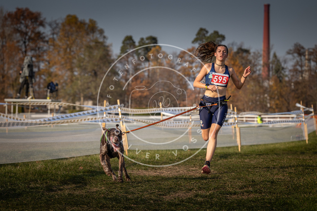 CaniXpix_0L8A9854 | Hundefotografie, Tierfotograf, Pfotenfotografie, Fotoshooting Hund, Hunde Portrait, Hundesport, Hundeportraits, Heideshooting, Hunde, Sportfotograf, Hundefotograf, Turnierhundsport, THS,  - Realisiert mit Pictrs.com