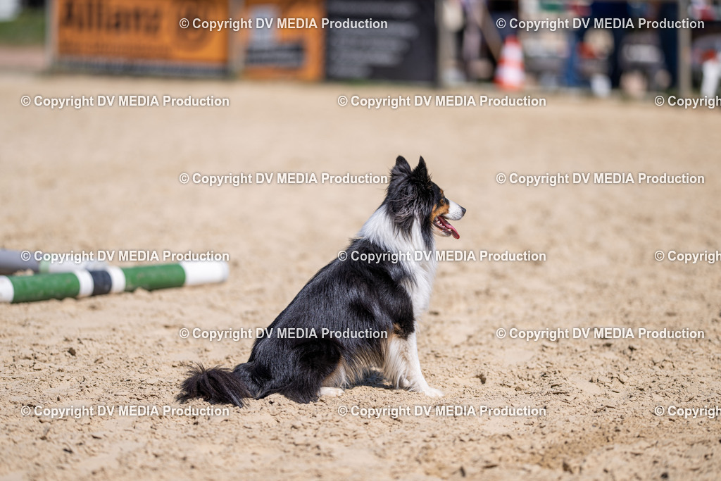 LM Heiligenwald Tag 1-1558 | dv-media-shop - Realisiert mit Pictrs.com