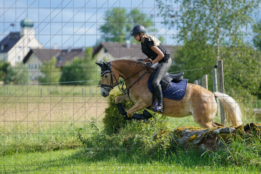 20240622-FAH08092 | Turnierfotografen Bayern, Reitsportbilder aus dem Geländekurs mit Felix Etzel auf dem Gut Waitzacker 2024