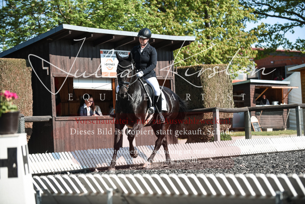 DSC_8620 | Pferde- und Turnierfotografie in Westsachsen. Pferdeportraits, Auftragszeichnungen und intuitive Kunst.