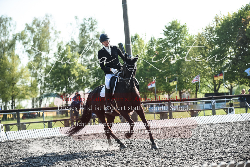 DSC_8388 | Pferde- und Turnierfotografie in Westsachsen. Pferdeportraits, Auftragszeichnungen und intuitive Kunst.