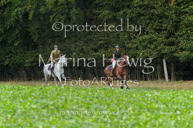 Jagd Perdoel_MarinaHewigMCH03953 | Fotografie, FotoArt, PferdesportArt, Pferdesportfotografie, Landschaftsfotografie, Reisefotografie, Reise, Pferde - Realisiert mit Pictrs.com