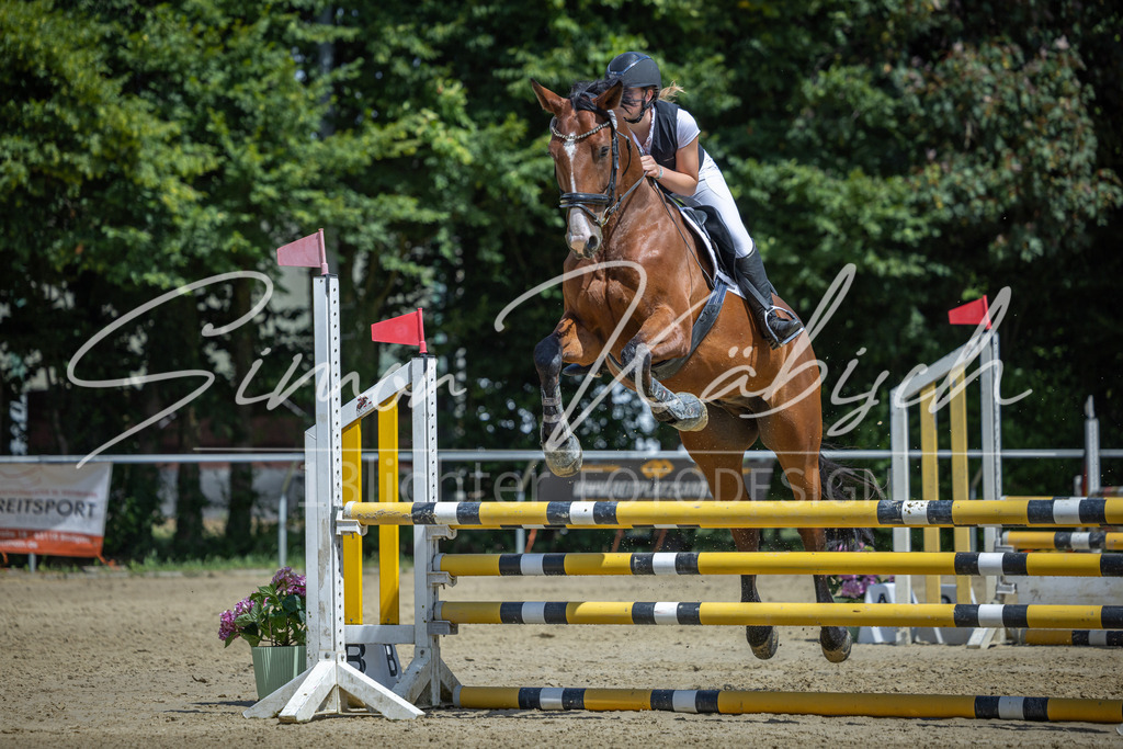20260704-_3LI0099 | Tierfotografie Pferde, Hunde, Katzen, Haustiere.
Turnierfotografie Reitturniere, Reiten, Springreiten, Dressur in Hanau, dem Main-Kinzig-Kreis und dem Rhein-Main- Gebiet um Frankfurt