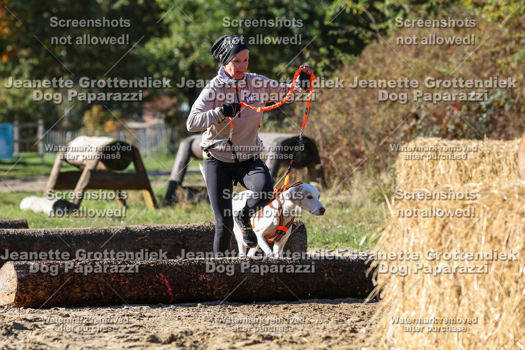 Dog Paparazzi - Strongdog 10-25-2749 | Dog Paparazzi Jeanette Grottendiek Fotografie & Videografie - Realisiert mit Pictrs.com