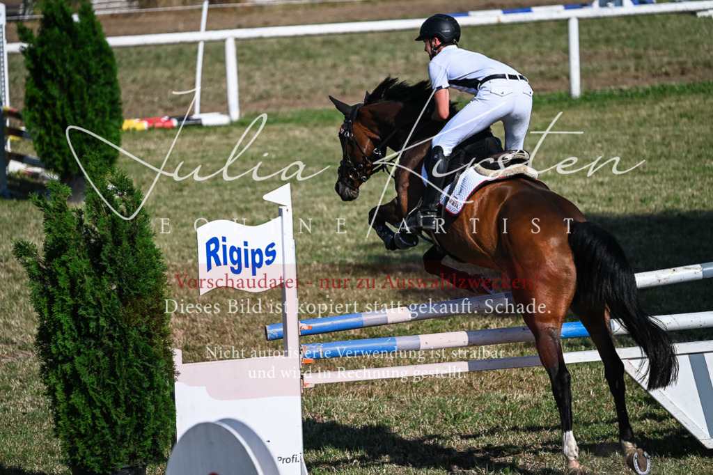 DSC_2525 | Pferde- und Turnierfotografie in Westsachsen. Pferdeportraits, Auftragszeichnungen und intuitive Kunst.