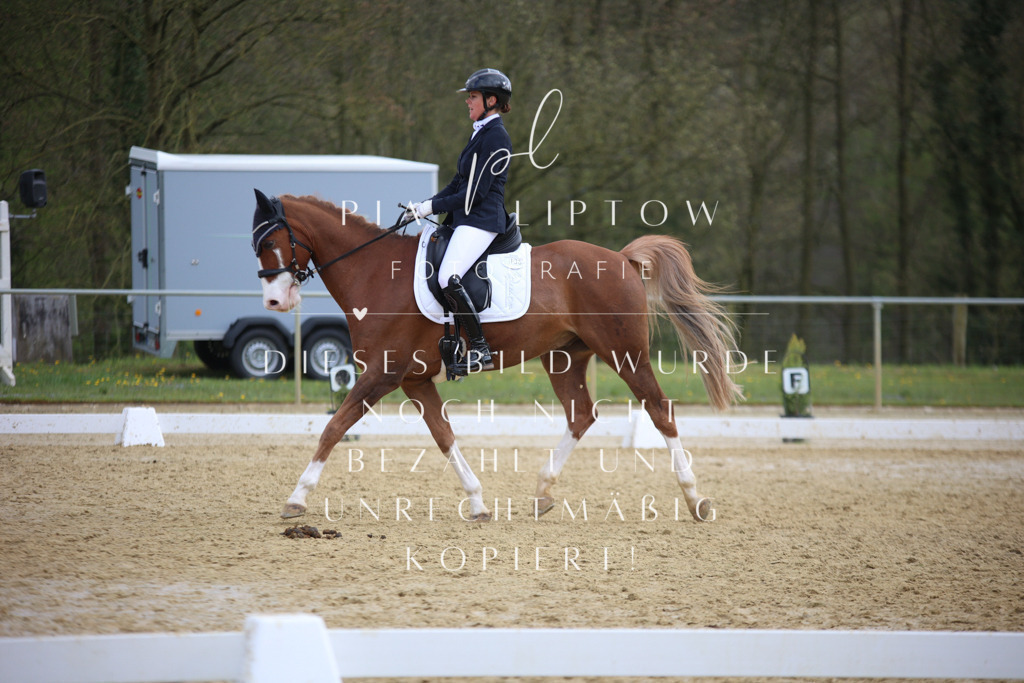 IMGT6838 | pl-fotografie