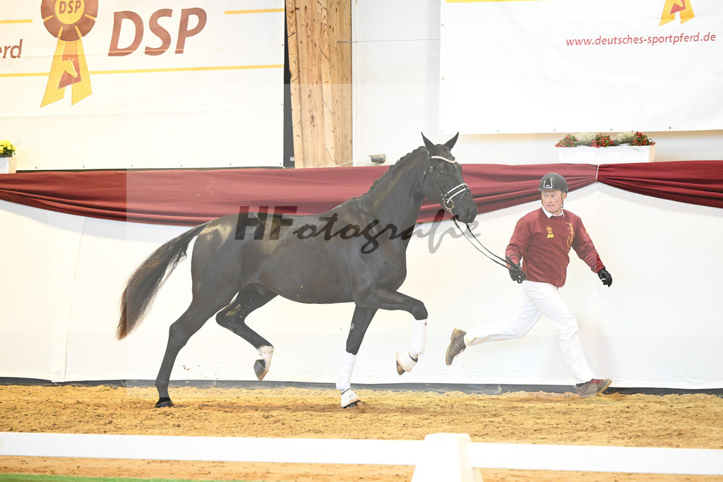 Kat-Nr. 65 v. De Niro Gold_Rohrmoser_66222245 | hf-fotografie - Realisiert mit Pictrs.com