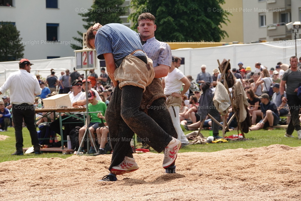 DSC04611 | Schwingen - Realisiert mit Pictrs.com