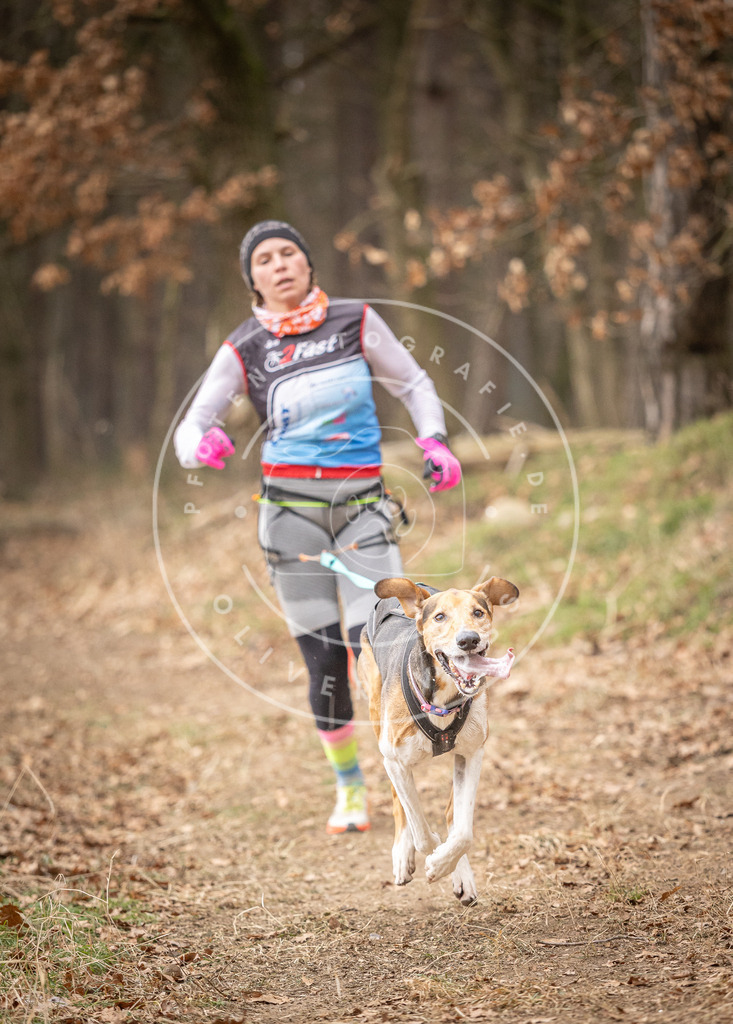 Pfotenfotografie_DV3A4980 | Hundefotografie, Tierfotograf, Pfotenfotografie, Fotoshooting Hund, Hunde Portrait, Hundesport, Hundeportraits, Heideshooting, Hunde, Sportfotograf, Hundefotograf, Turnierhundsport, THS,  - Realisiert mit Pictrs.com