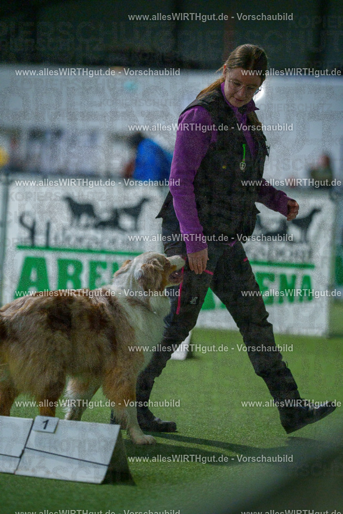 7R503854 | Professionelle Tierfotografie in Mönchengladbach von Daniel Wirth (allesWIRTHgut). Liebevolle & natürliche Bilder von Hunden & Katzen für unvergessliche Erinnerungen.