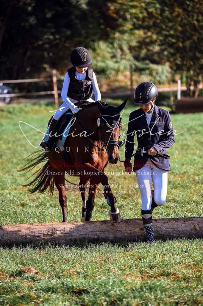DSC_0265 | Pferde- und Turnierfotografie in Westsachsen. Pferdeportraits, Auftragszeichnungen und intuitive Kunst.