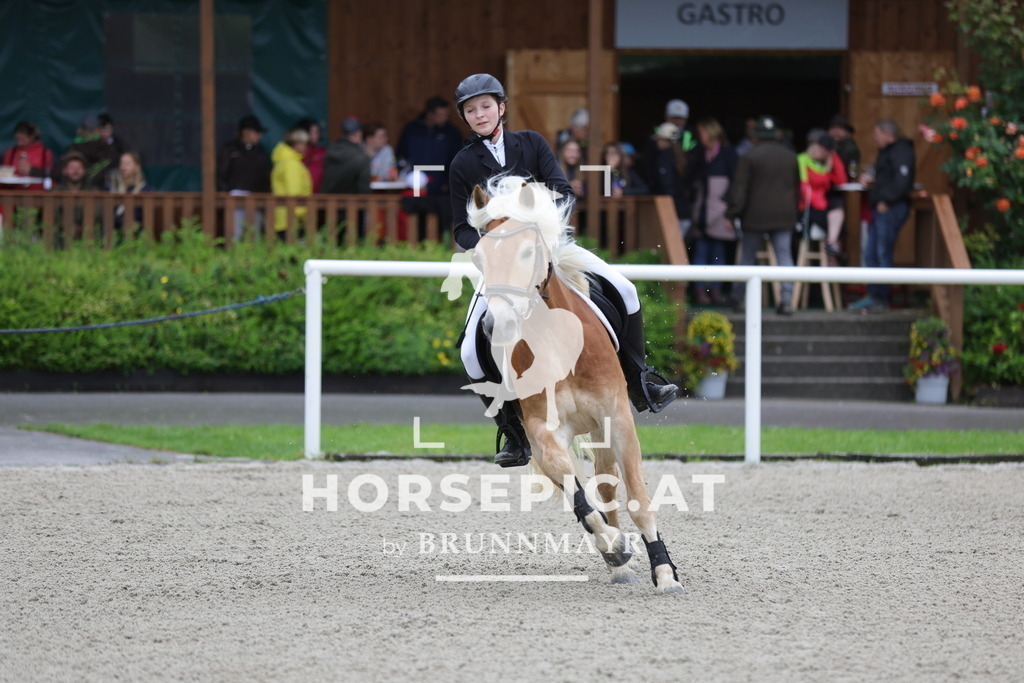0P6A8464 | Willkommen bei Brunnmayr - Design & Fotografie – Ihrem Spezialisten für Reitturniere und Pferdeveranstaltungen in Oberösterreich, Salzburg und Bayern! Seit über 17 Jahren sind wir leidenschaftlich dabei.