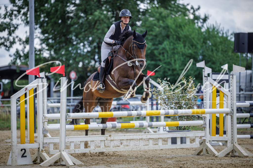 20260705-_3LI5996 | Tierfotografie Pferde, Hunde, Katzen, Haustiere.
Turnierfotografie Reitturniere, Reiten, Springreiten, Dressur in Hanau, dem Main-Kinzig-Kreis und dem Rhein-Main- Gebiet um Frankfurt