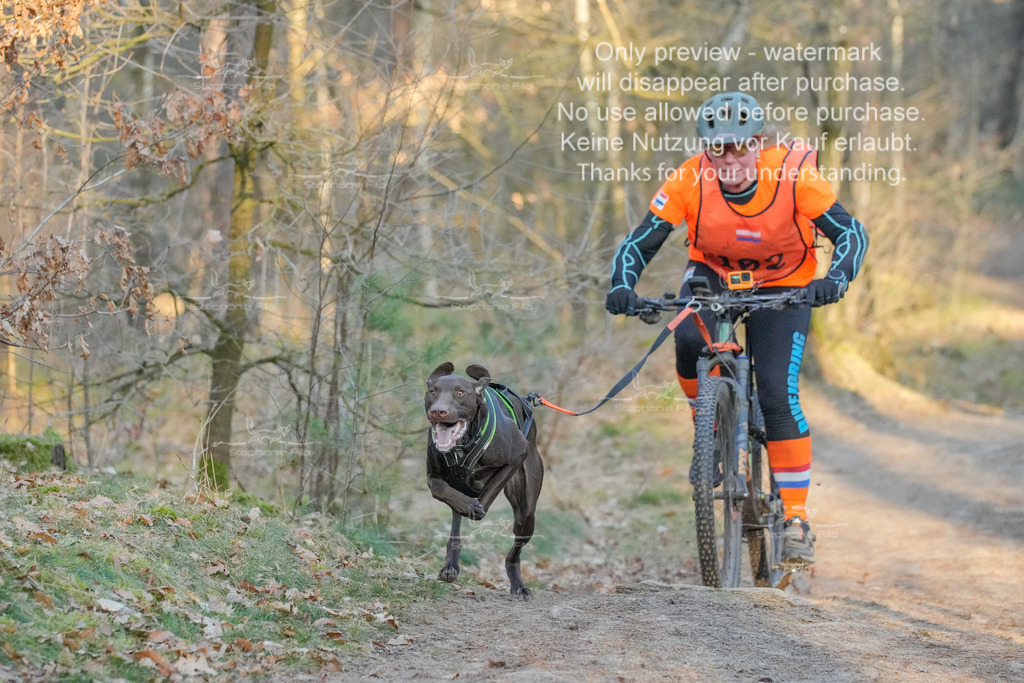 Sa_Bike-151 | stephaniefillaphotographie - Realisiert mit Pictrs.com