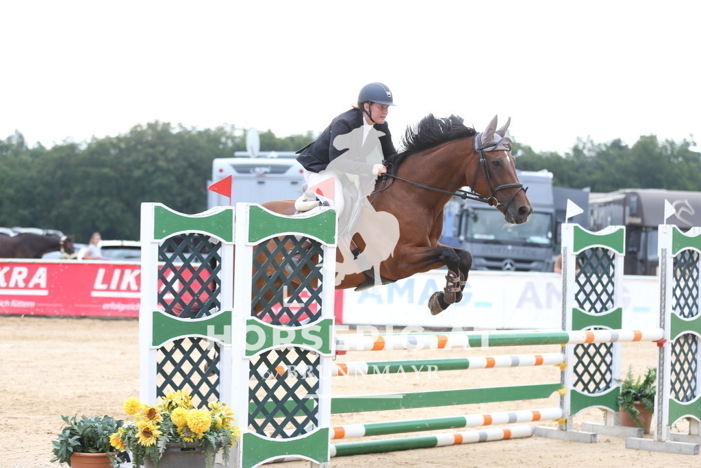 AS8V1864 | Willkommen bei Brunnmayr - Design & Fotografie – Ihrem Spezialisten für Reitturniere und Pferdeveranstaltungen in Oberösterreich, Salzburg und Bayern! Seit über 17 Jahren sind wir leidenschaftlich dabei.