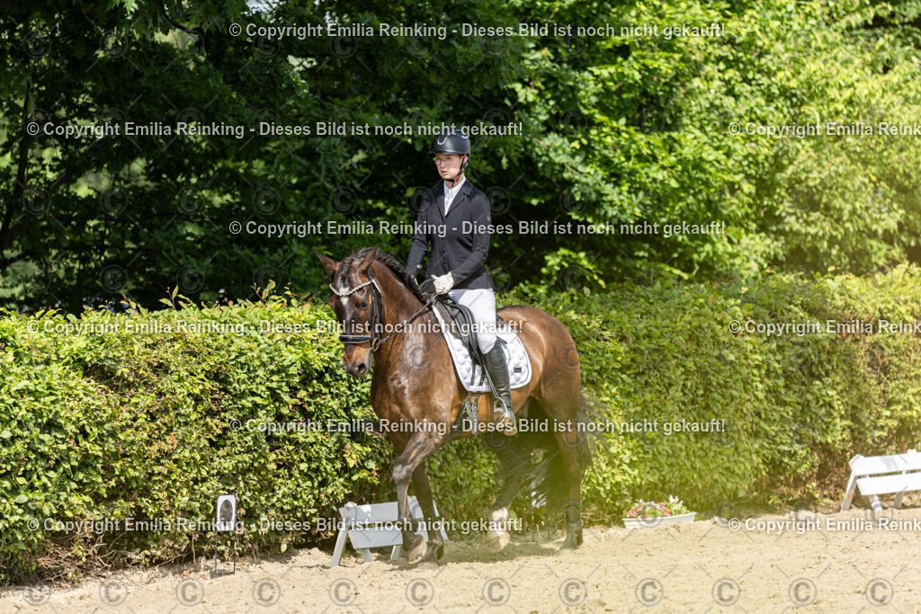 CL5A0948 | Emilia Reinking Fotografie - Realisiert mit Pictrs.com