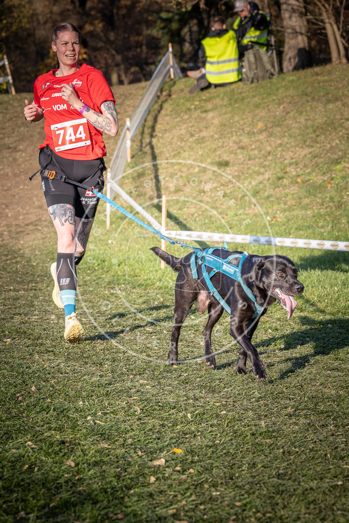 CaniXpix_0L8A9895 | Hundefotografie, Tierfotograf, Pfotenfotografie, Fotoshooting Hund, Hunde Portrait, Hundesport, Hundeportraits, Heideshooting, Hunde, Sportfotograf, Hundefotograf, Turnierhundsport, THS,  - Realisiert mit Pictrs.com
