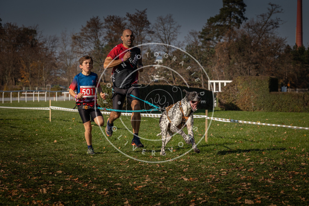 CaniXpix_0L8A8236 | Hundefotografie, Tierfotograf, Pfotenfotografie, Fotoshooting Hund, Hunde Portrait, Hundesport, Hundeportraits, Heideshooting, Hunde, Sportfotograf, Hundefotograf, Turnierhundsport, THS,  - Realisiert mit Pictrs.com
