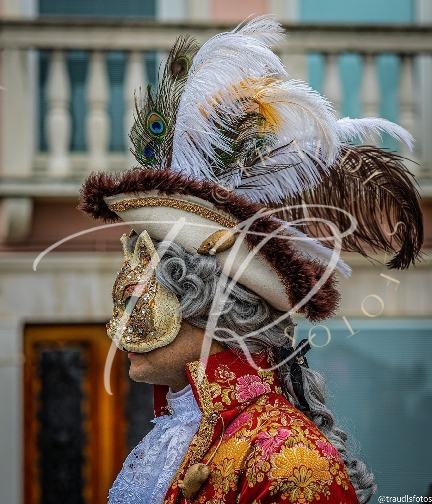 088201E2-3EB4-4836-A5C6-60431D164558 | traudl_s_fotos