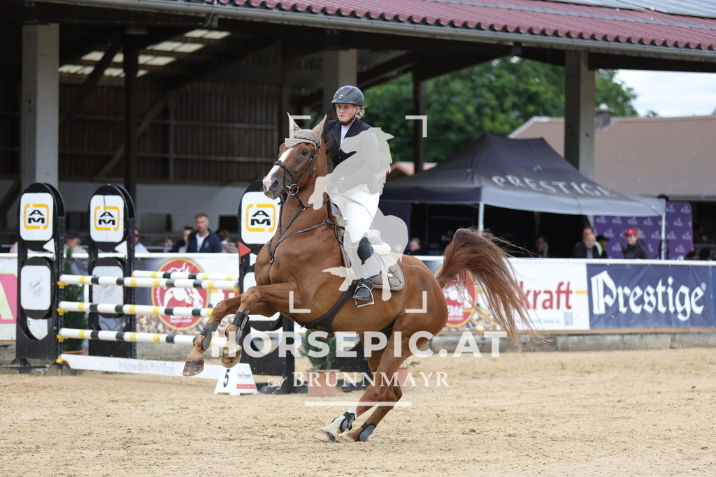 0P6A4548 | Willkommen bei Brunnmayr - Design & Fotografie – Ihrem Spezialisten für Reitturniere und Pferdeveranstaltungen in Oberösterreich, Salzburg und Bayern! Seit über 17 Jahren sind wir leidenschaftlich dabei.