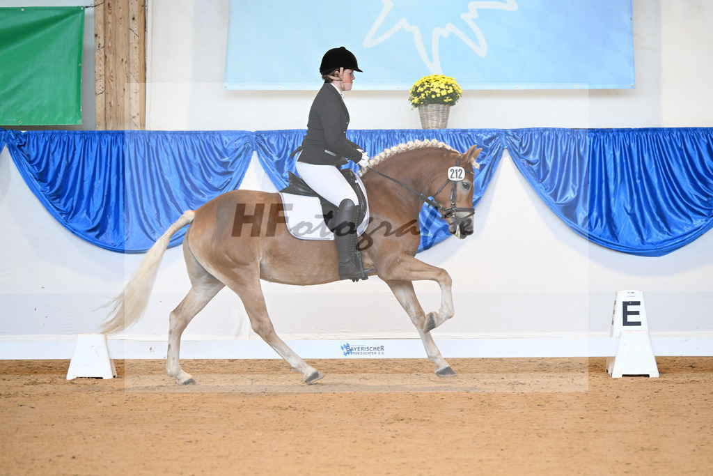 Kat-Nr. 212 Eyra_ZG Wolfgramm_54221613 | hf-fotografie - Realisiert mit Pictrs.com