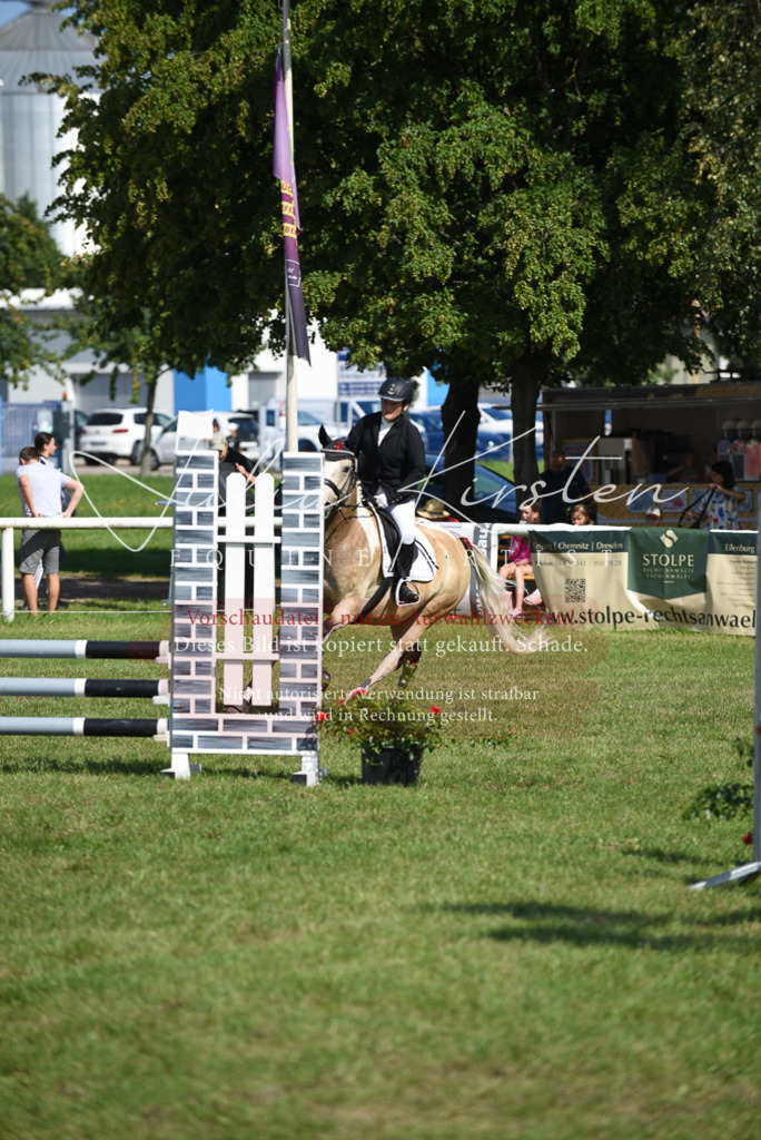 DSC_9082 | Pferde- und Turnierfotografie in Westsachsen. Pferdeportraits, Auftragszeichnungen und intuitive Kunst.