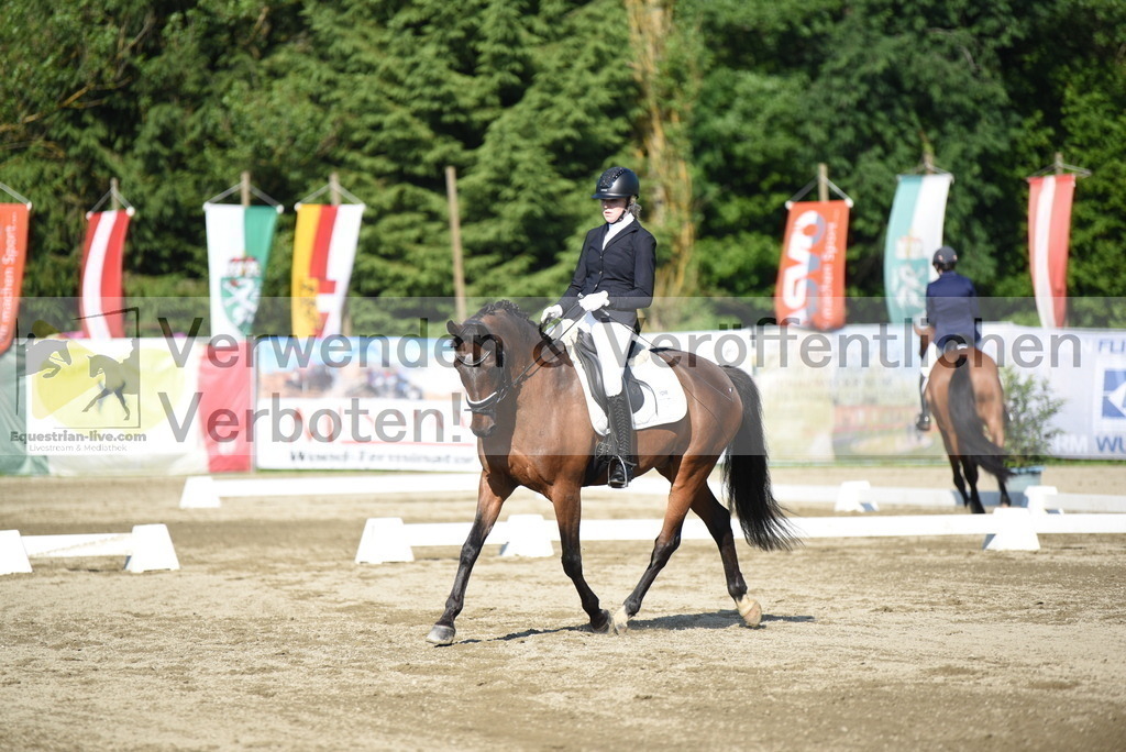 DSC_7138 | equestrian-live-com