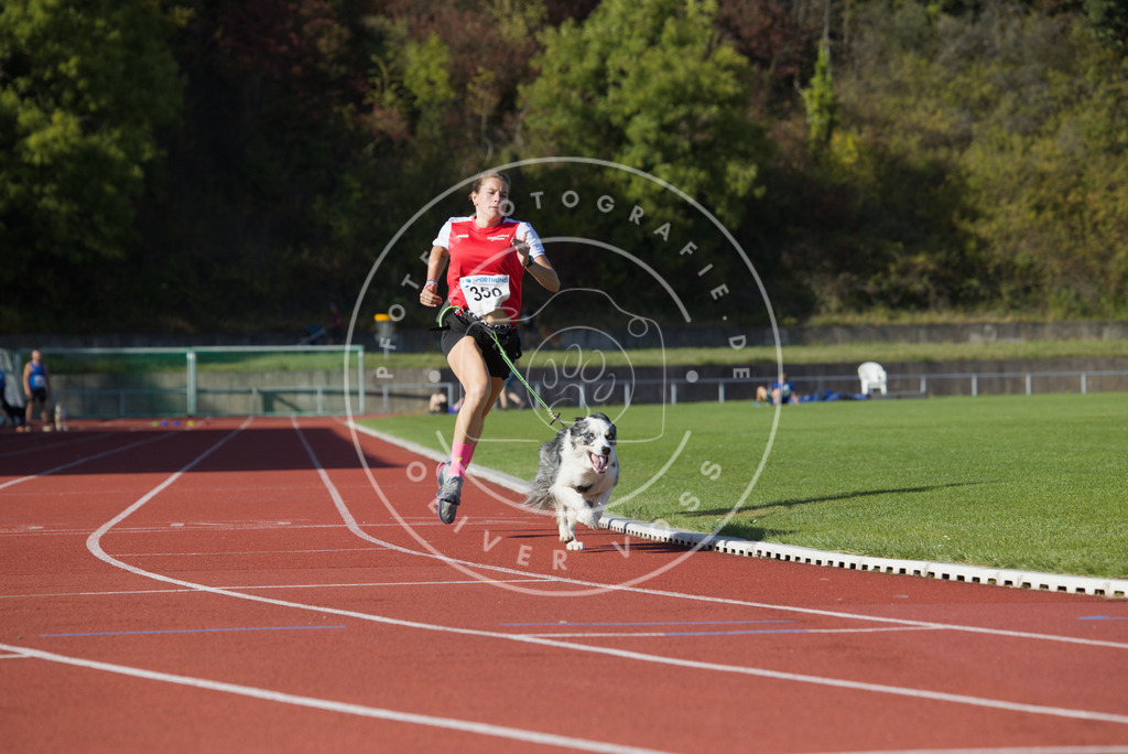 0L8A9678 | Hundefotografie, Tierfotograf, Pfotenfotografie, Fotoshooting Hund, Hunde Portrait, Hundesport, Hundeportraits, Heideshooting, Hunde, Sportfotograf, Hundefotograf, Turnierhundsport, THS,  - Realisiert mit Pictrs.com