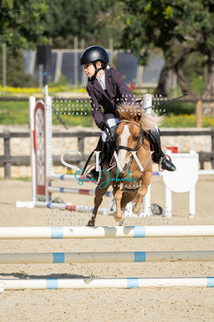 IMG_6036 | s-jay-photography - Realisiert mit Pictrs.com