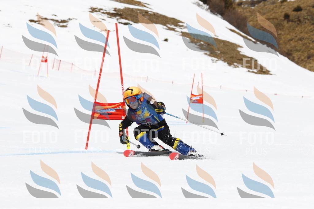 _U3G6926 | holidayphoto