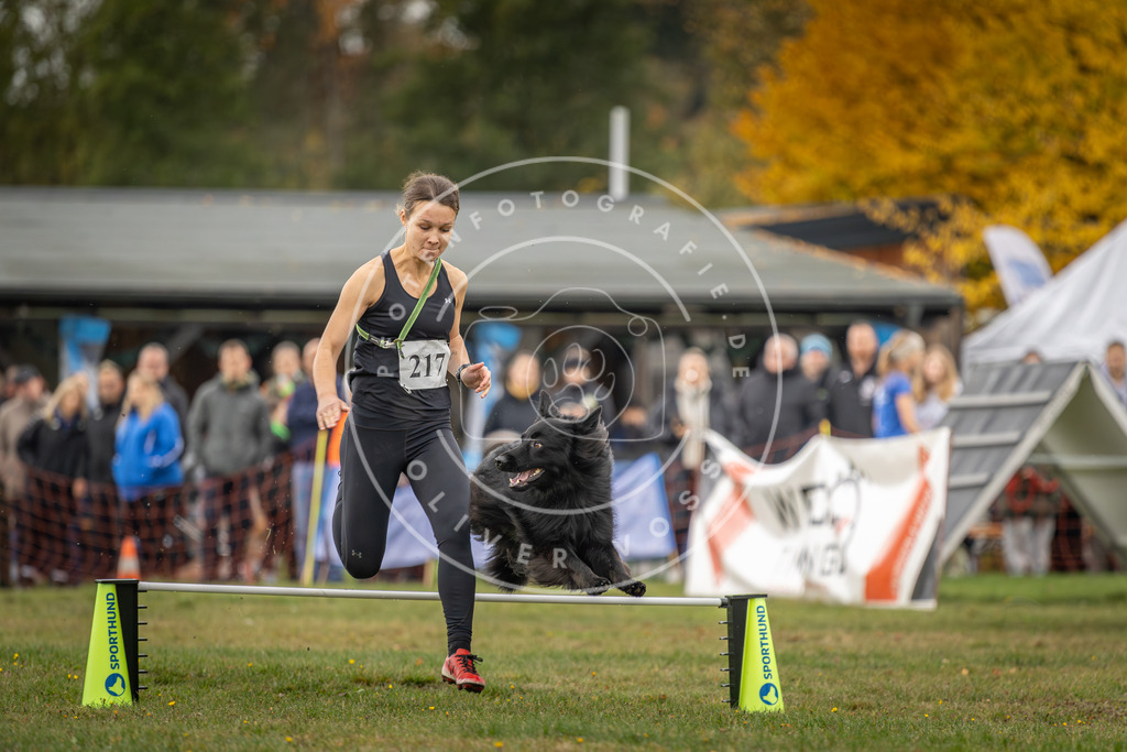 Pfotenfotografie_DV3A2964 | Hundefotografie, Tierfotograf, Pfotenfotografie, Fotoshooting Hund, Hunde Portrait, Hundesport, Hundeportraits, Heideshooting, Hunde, Sportfotograf, Hundefotograf, Turnierhundsport, THS,  - Realisiert mit Pictrs.com