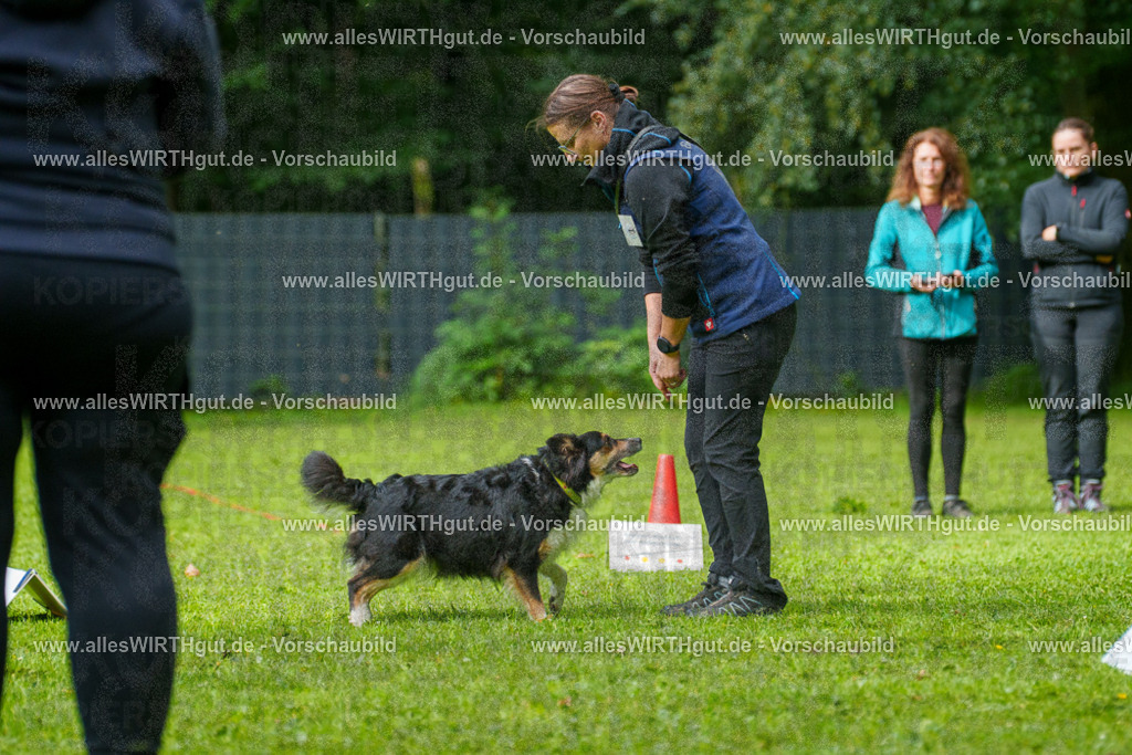 @allesWIRTHgut_Tierfotografie - www.allesWIRTHgut.de - 7R501957 | Professionelle Tierfotografie in Mönchengladbach von Daniel Wirth (allesWIRTHgut). Liebevolle & natürliche Bilder von Hunden & Katzen für unvergessliche Erinnerungen.